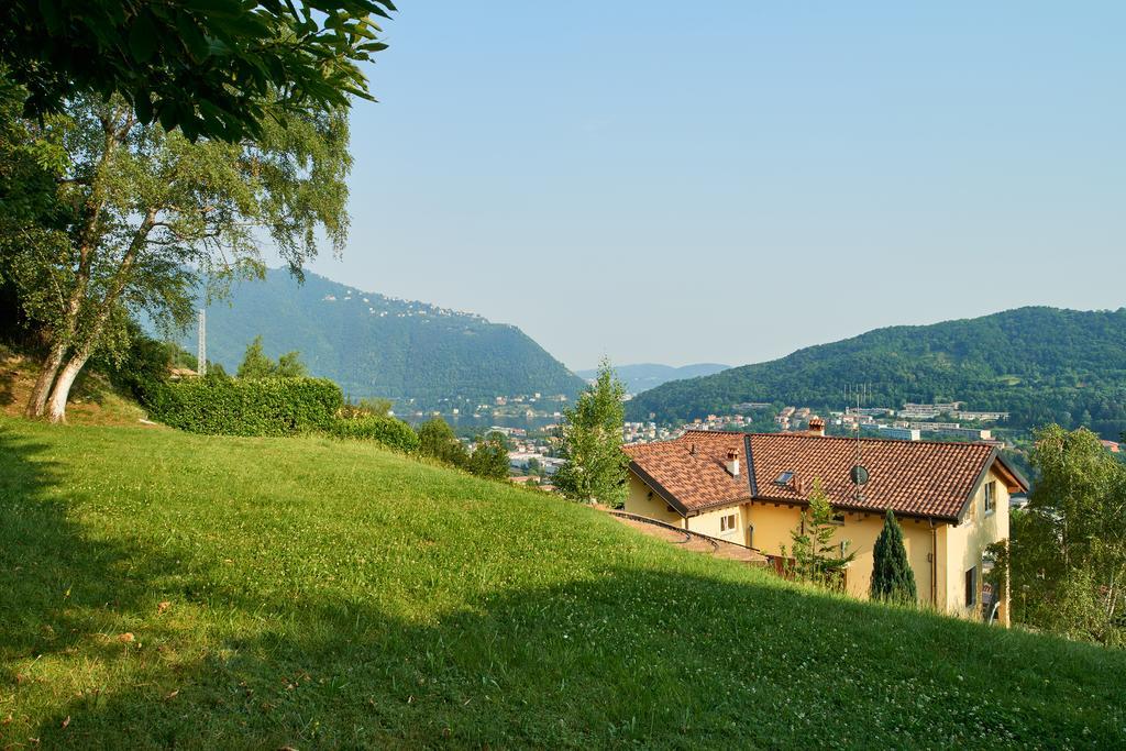 Comova Maslianico Luaran gambar